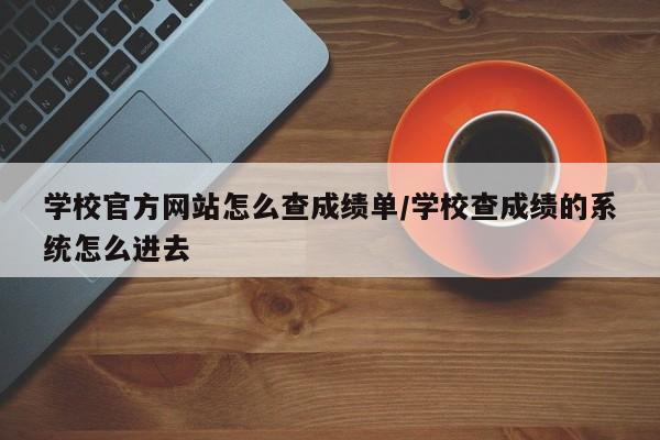 学校官方网站怎么查成绩单/学校查成绩的系统怎么进去