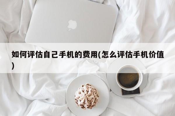 如何评估自己手机的费用(怎么评估手机价值)